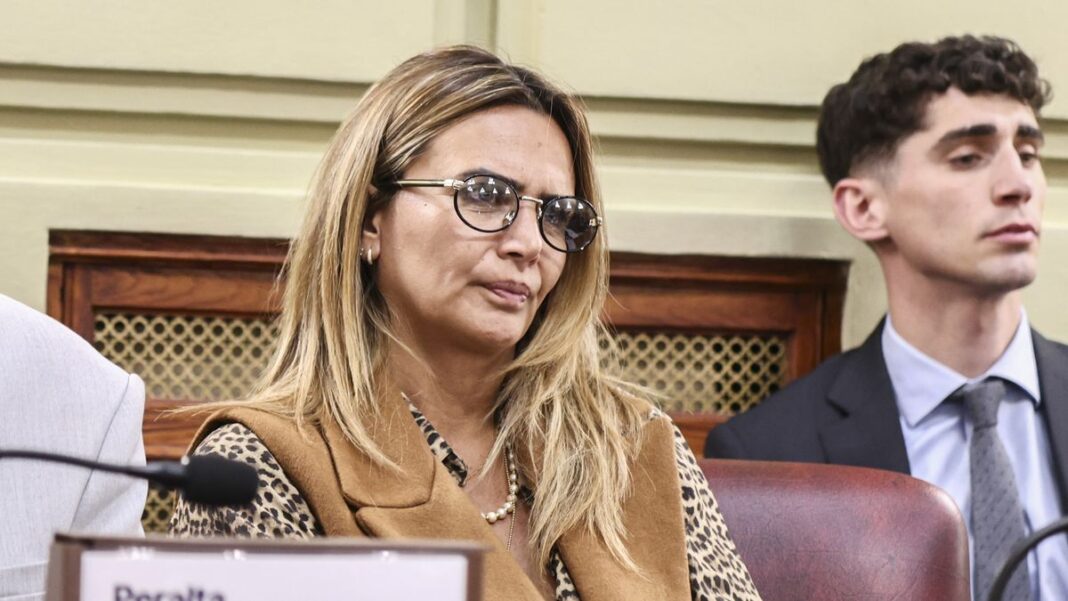 Retrato de la diputada provincial Amalia Granata