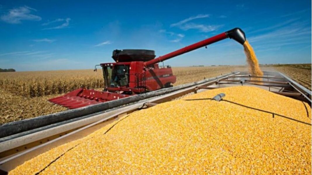 Remate del primer lote de soja de la campaña 2025/26 en la Bolsa de Comercio de Rosario