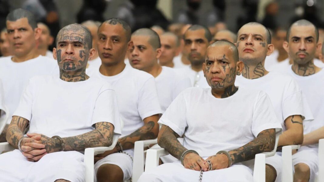 Pandilleros de la Mara Salvatrucha en el Centro de Confinamiento Contra el Terrorismo de El Salvador durante el juicio masivo