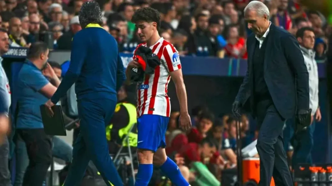 Julián Álvarez sale del campo con gestos de dolor en el tobillo durante el partido de Champions League