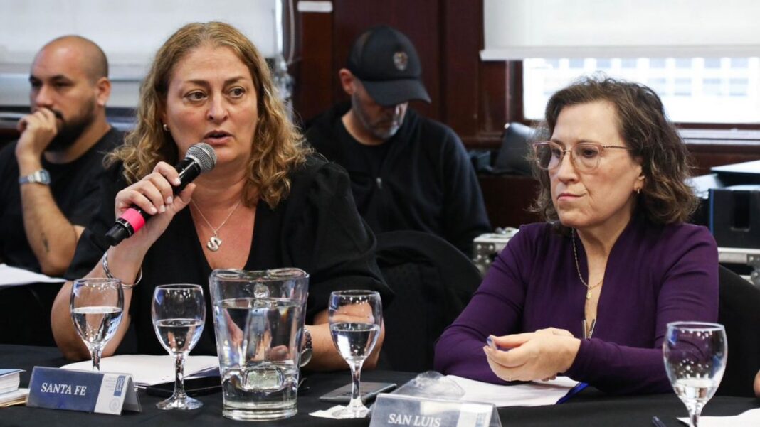 Ministra de Salud de Santa Fe, Silvia Ciancio, durante una conferencia de prensa.
