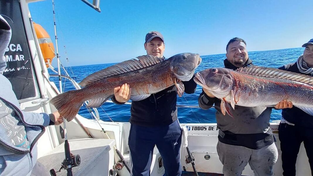 Embarcación de pesca deportiva en el mar, con personas pescando en la costa atlántica