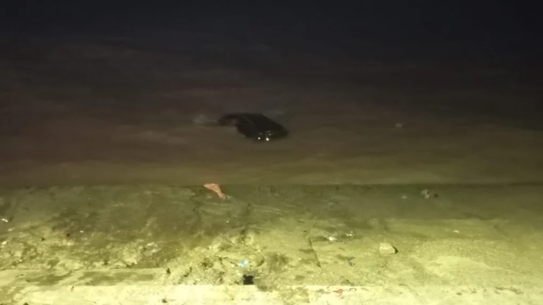 Operativo de rescate en la Costanera de Buenos Aires tras la caída de un vehículo al Río de la Plata.