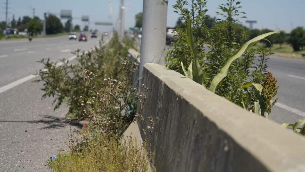 Legislatura de la Provincia de Santa Fe, sede del debate parlamentario.