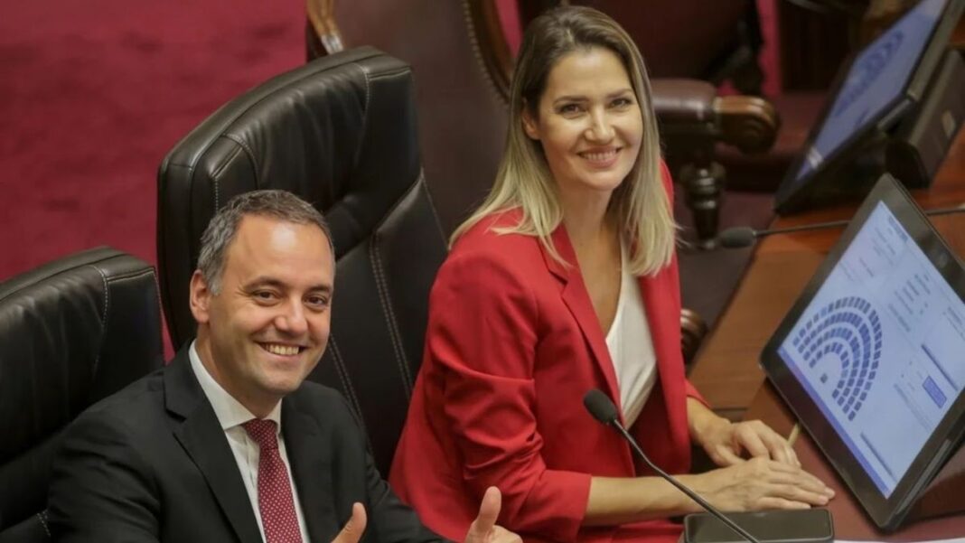 Senadora nacional Carolina Losada en una entrevista televisiva.